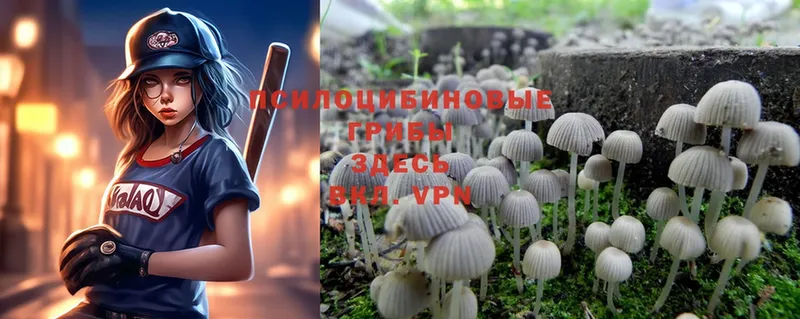 Псилоцибиновые грибы MAGIC MUSHROOMS  это наркотические препараты  Малоархангельск  кракен как зайти 